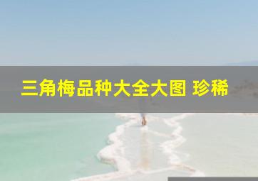 三角梅品种大全大图 珍稀